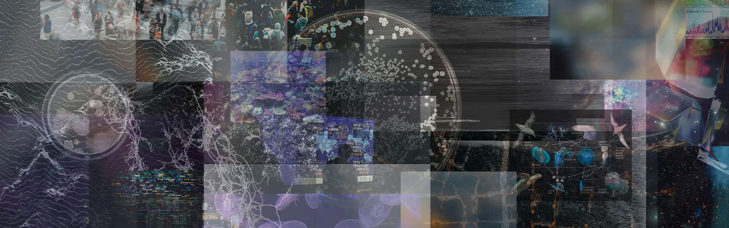 nextlearning_header-img_0