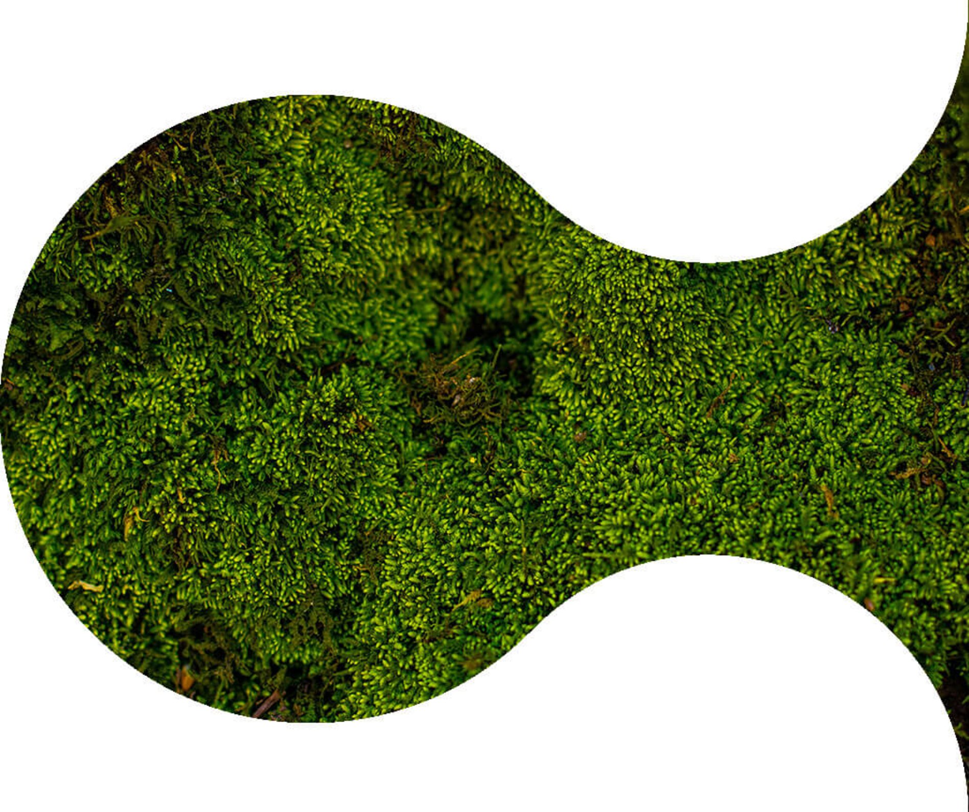 nextlearning_bg-img_0